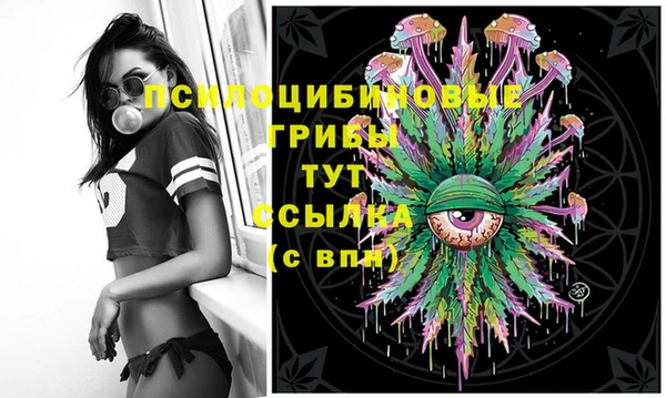 спиды Бугульма