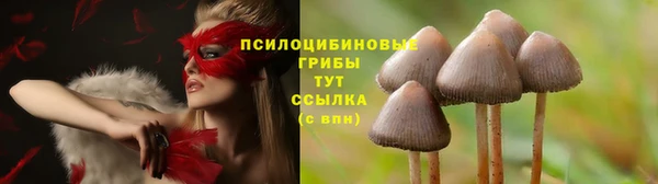метамфетамин Бородино
