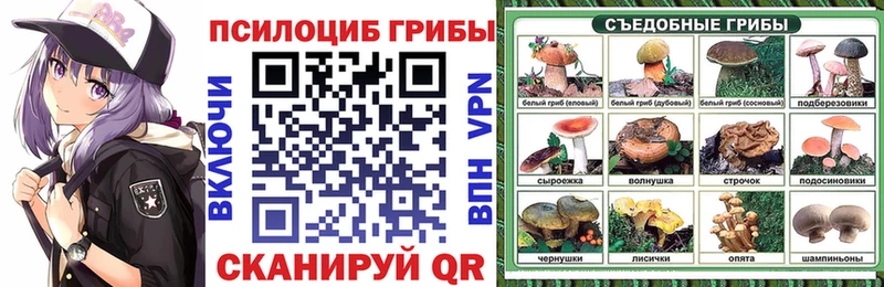 Псилоцибиновые грибы Cubensis  MEGA как зайти  Фёдоровский 
