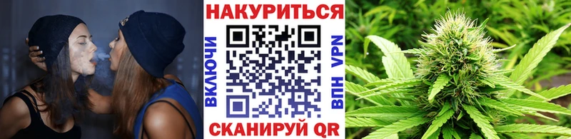 Конопля семена Фёдоровский