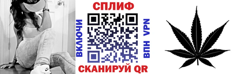 купить  цена  Фёдоровский  Каннабис гибрид 